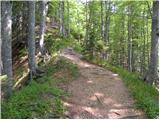 Koncentracijsko taborišče - Planina Korošica